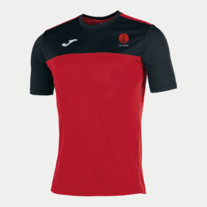 Camiseta entreno
